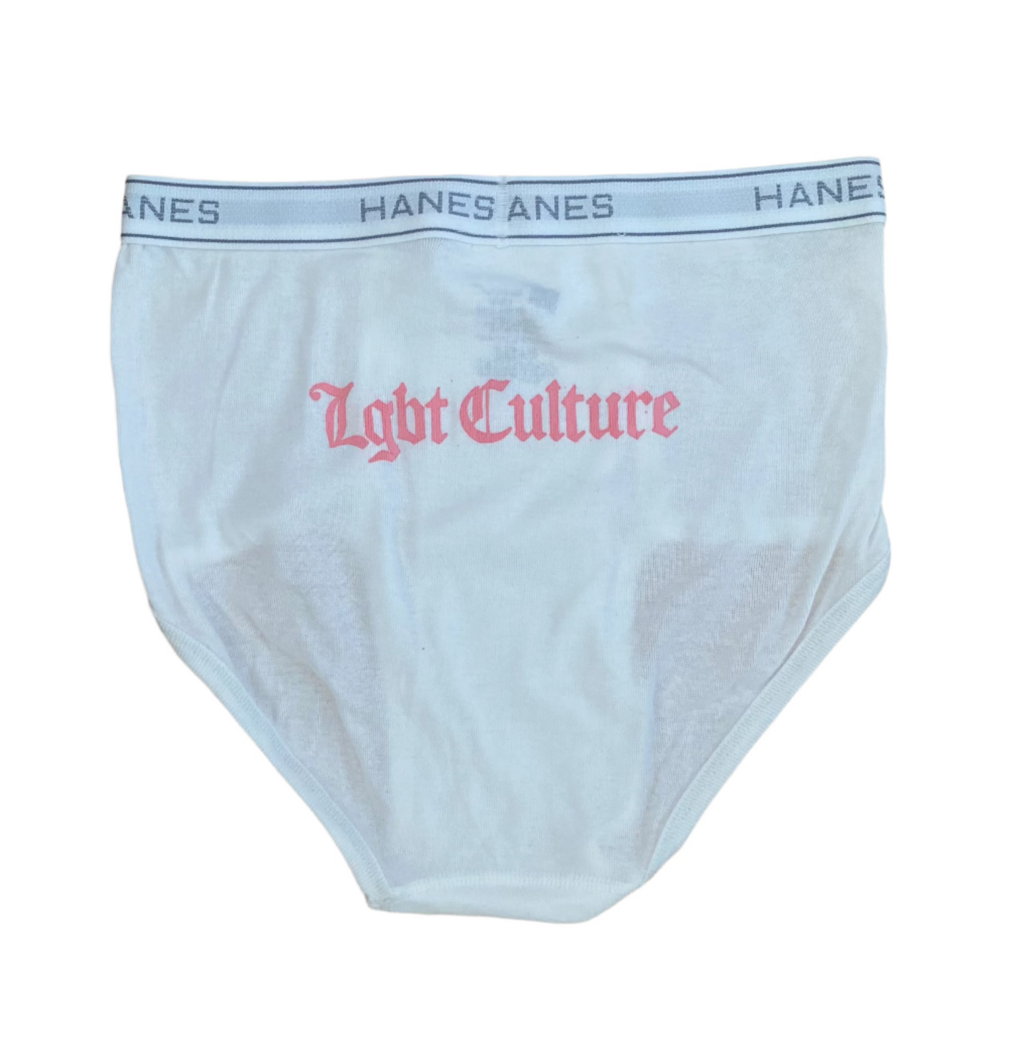 LGBT CULTURE hanes
